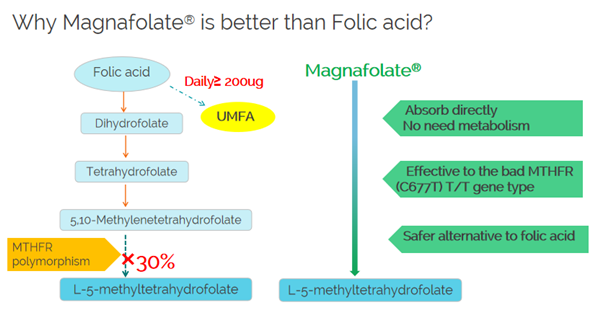 Zakaj je Magnafolat boljši od folne kisline?