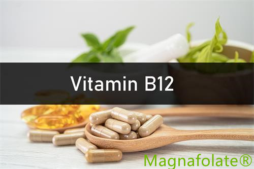 Vitamin B12: Uvod, korist, zdravje