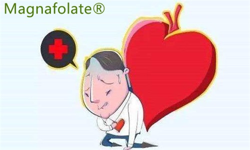 L-5-metilfolat: lahko zmanjša tveganje za možgansko kap in srčni infarkt