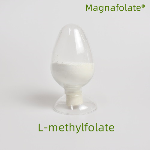 Kaj je l-metilfolat?