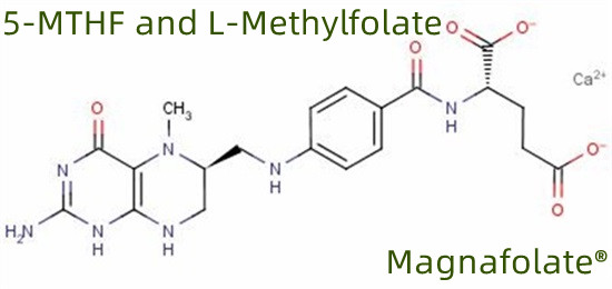 5-MTHF in L-metilfolat