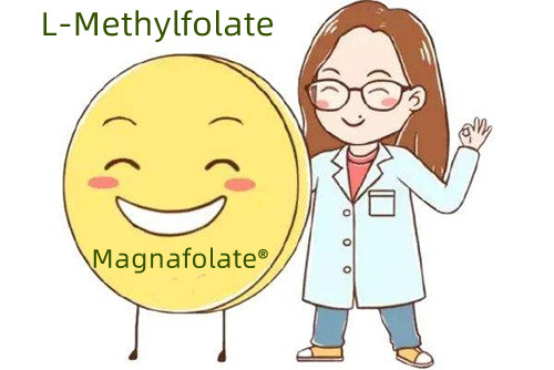 Dodatni vir folne kisline in L-metilfolata