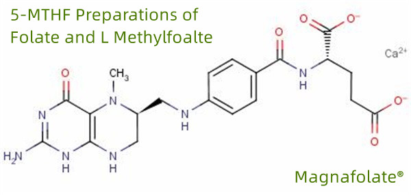 5-MTHF pripravki folata in L metilfoalta