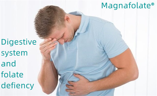 Prebavni sistem in pomanjkanje folatov - magnafolat