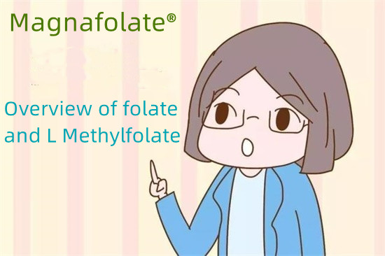 Pregled folata in L metilfolata