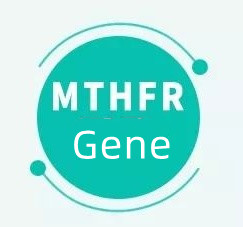 Kaj pomeni, če imate gen MTHFR?