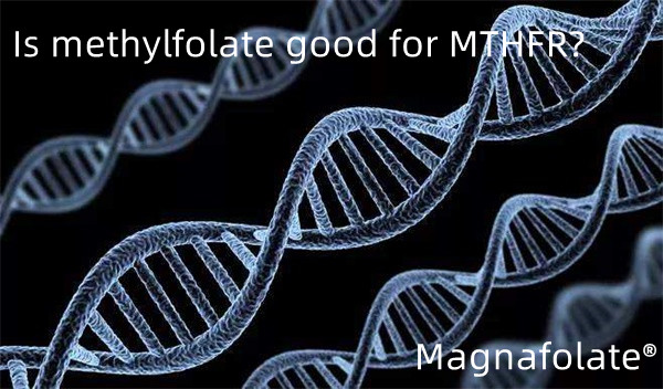 Je metilfolat dober za MTHFR?