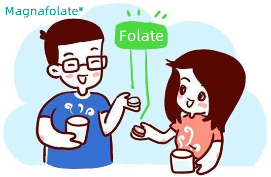 Koliko folatov morate zaužiti na dan?