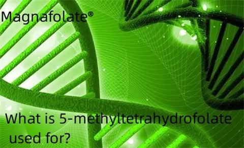 Za kaj se uporablja 5-metiltetrahidrofolat?