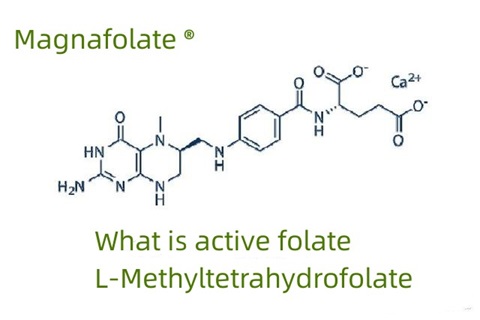 Kaj je aktivni folat in L-metiltetrahidrofolat