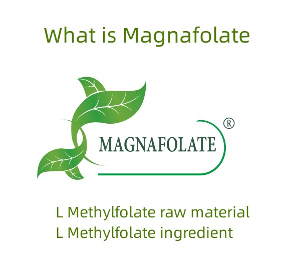 Kaj je Magnafolate?