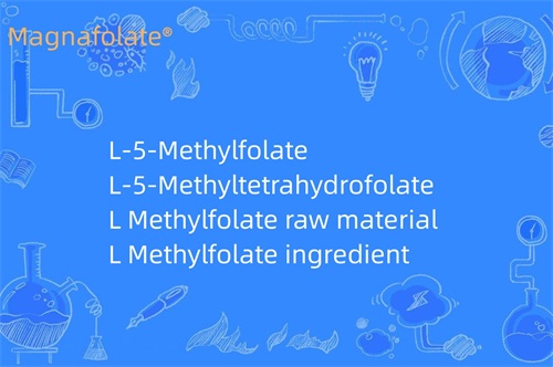 Kaj počne L metilfolat?
