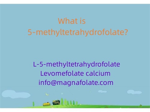 Kaj je 5-metiltetrahidrofolat?