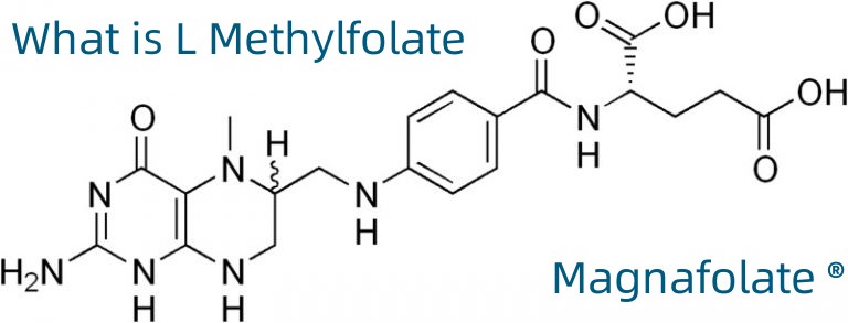 L-5-metiltetrahidrofolat kalcij CAS št.: 151533-22-1