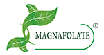 Magnafolate® VS folna kislina