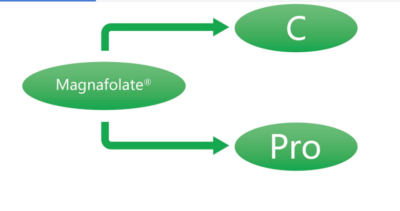 Magnafolat C in Pro-L-metilfolat kalcij