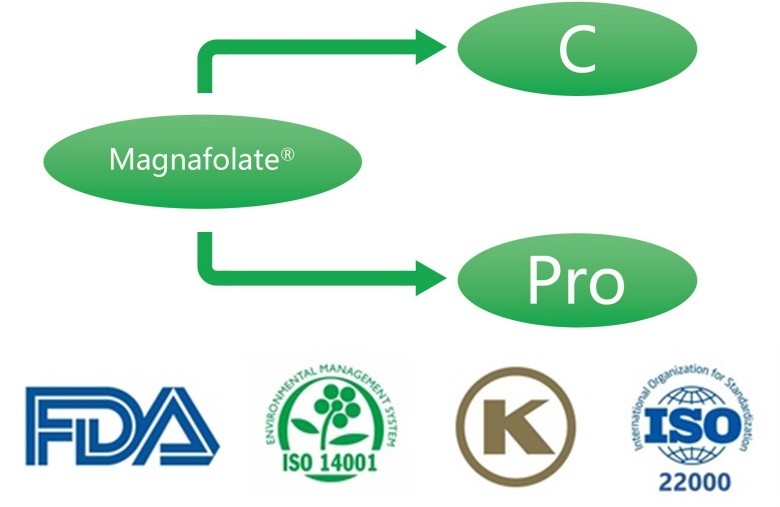 Kaj je kalcijev L-5-metiltetrahidrofolat? Kateri so dobavitelji?