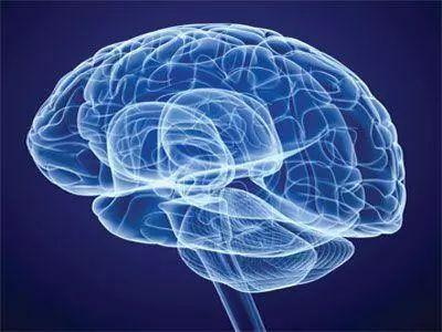 Folat ščiti živčni sistem in preprečuje demenco in Parkinsonovo bolezen