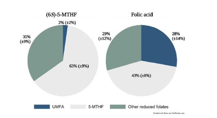 pozor! Študija v Scientific Reports potrjuje, da je pri doječih ženskah dodatek folne kisline 28 % folata v njihovem mleku neuporabne nemetabolizirane folne kisline (UMFA) – kar je 14-krat več kot pri materah, ki jemljejo bioaktivno obliko.